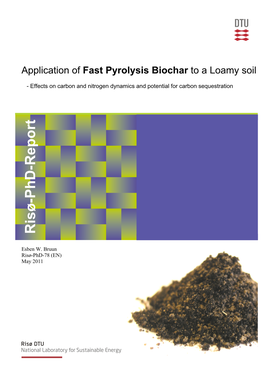 Application of Fast Pyrolysis Biochar to a Loamy Soil