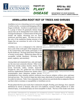 Armillaria Root Rot of Treees and Shrubs, RPD No