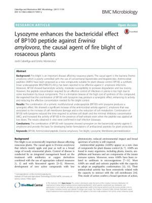 Lysozyme Enhances the Bactericidal Effect of BP100 Peptide Against Erwinia Amylovora, the Causal Agent of Fire Blight of Rosaceo