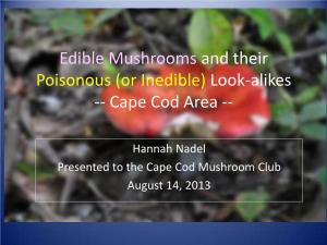 Edible Mushrooms and Their Poisonous (Or Inedible) Look-Alikes -- Cape Cod Area