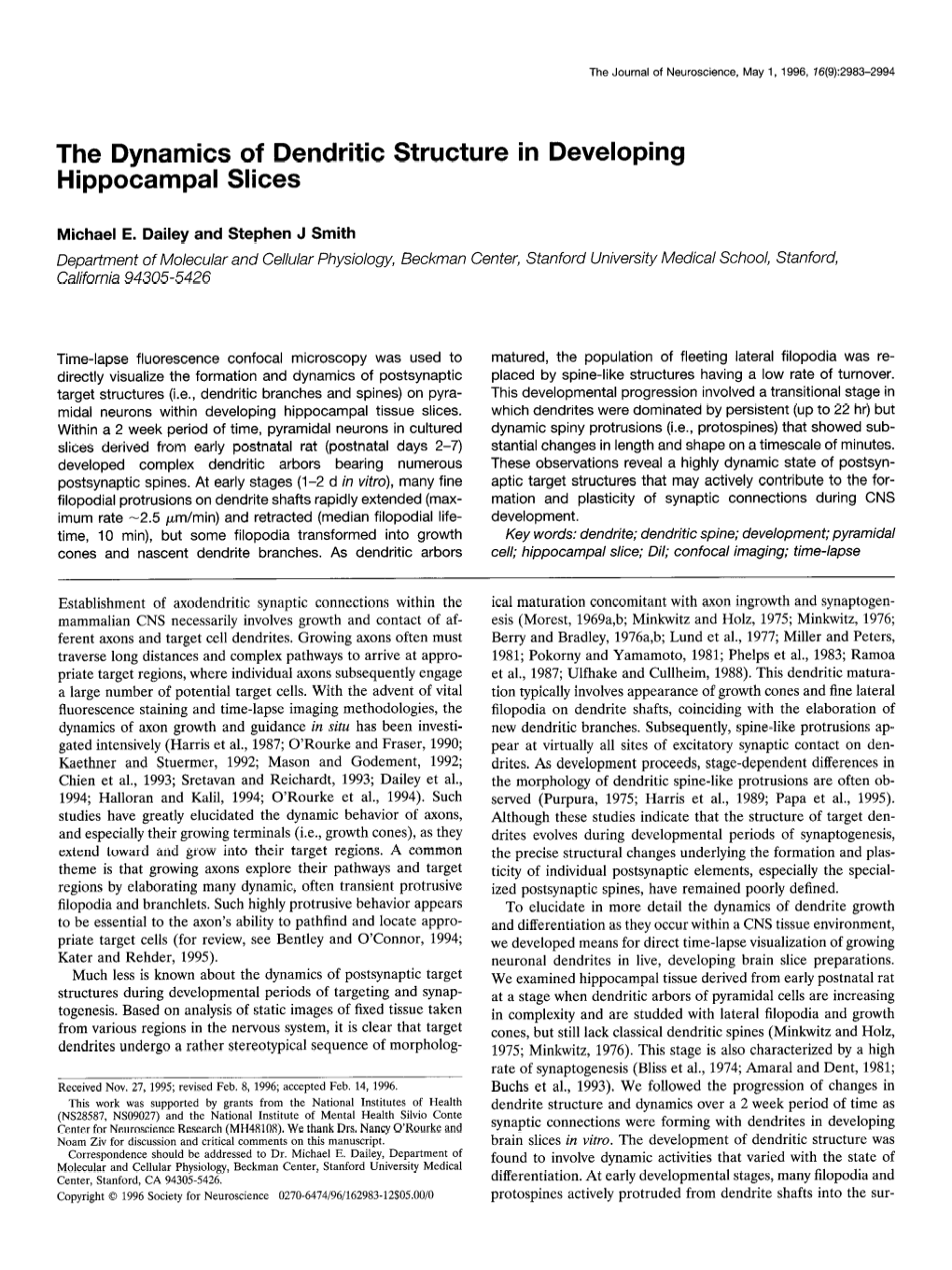 The Dynamics of Dendritic Structure in Developing Hippocampal Slices