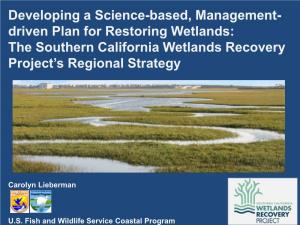The Southern California Wetlands Recovery Project’S Regional Strategy