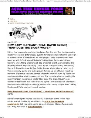 Stereogum: New Baby Elephant (Feat. David Byrne) - "How Does the B