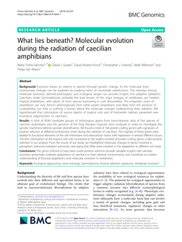 Molecular Evolution During the Radiation of Caecilian Amphibians María Torres-Sánchez1,2* , David J