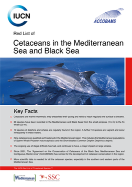 Red List of Cetaceans in the Mediterranean Sea and Black