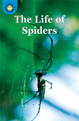 The Life of Spiders High-Frequency Words Its, Because, Cold, Don’T, Their, Sit, Goes, Very, An