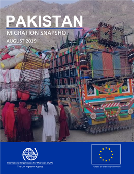 Pakistan Migration Snapshot 1