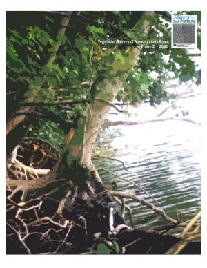 Vegetation Survey of Monongahela River Phase 2 - 2001 VEGETATION SURVEY of the MONONGAHELA RIVER