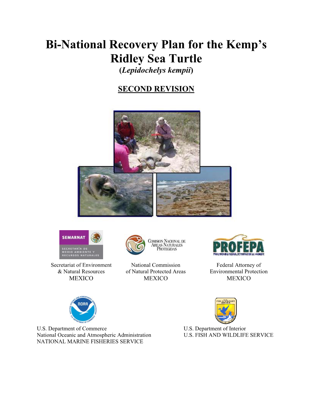 Bi-National Recovery Plan for the Kemp's Ridley Sea Turtle