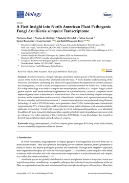 A First Insight Into North American Plant Pathogenic Fungi Armillaria Sinapina Transcriptome