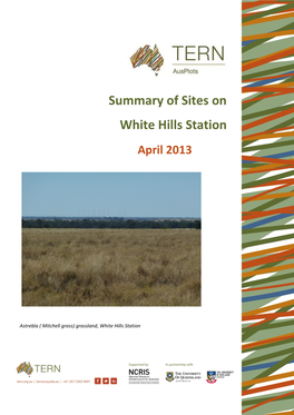 Summary of Sites on White Hills Station