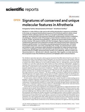 Signatures of Conserved and Unique Molecular Features in Afrotheria Arangasamy Yazhini, Narayanaswamy Srinivasan* & Sankaran Sandhya*