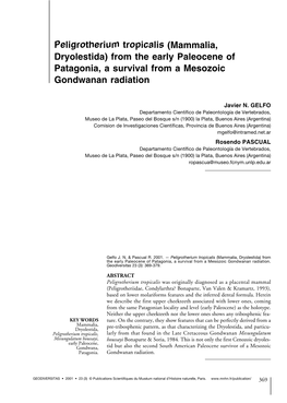 Peligrotherium Tropicalis (Mammalia, Dryolestida) from the Early Paleocene of Patagonia, a Survival from a Mesozoic Gondwanan Radiation