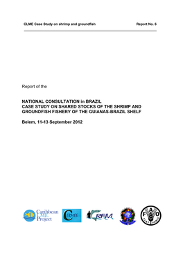 Report of the NATIONAL CONSULTATION in BRAZIL CASE STUDY