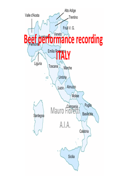 Beef Performance in Italy