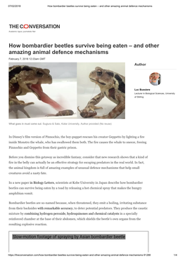 How Bombardier Beetles Survive Being Eaten – and Other Amazing Animal Defence Mechanisms