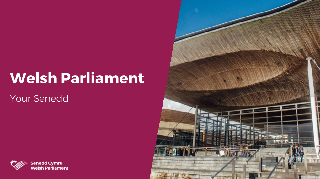 Welsh Parliament Your Senedd Our Aims