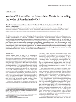 Versican V2 Assembles the Extracellular Matrix Surrounding the Nodes of Ranvier in the CNS