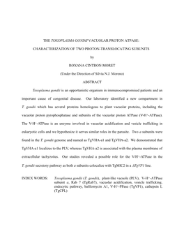 The Toxoplasma Gondii Vacuolar Proton Atpase