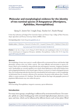 Molecular and Morphological Evidence for the Identity of Two Nominal Species of Astegopteryx (Hemiptera, Aphididae, Hormaphidinae)