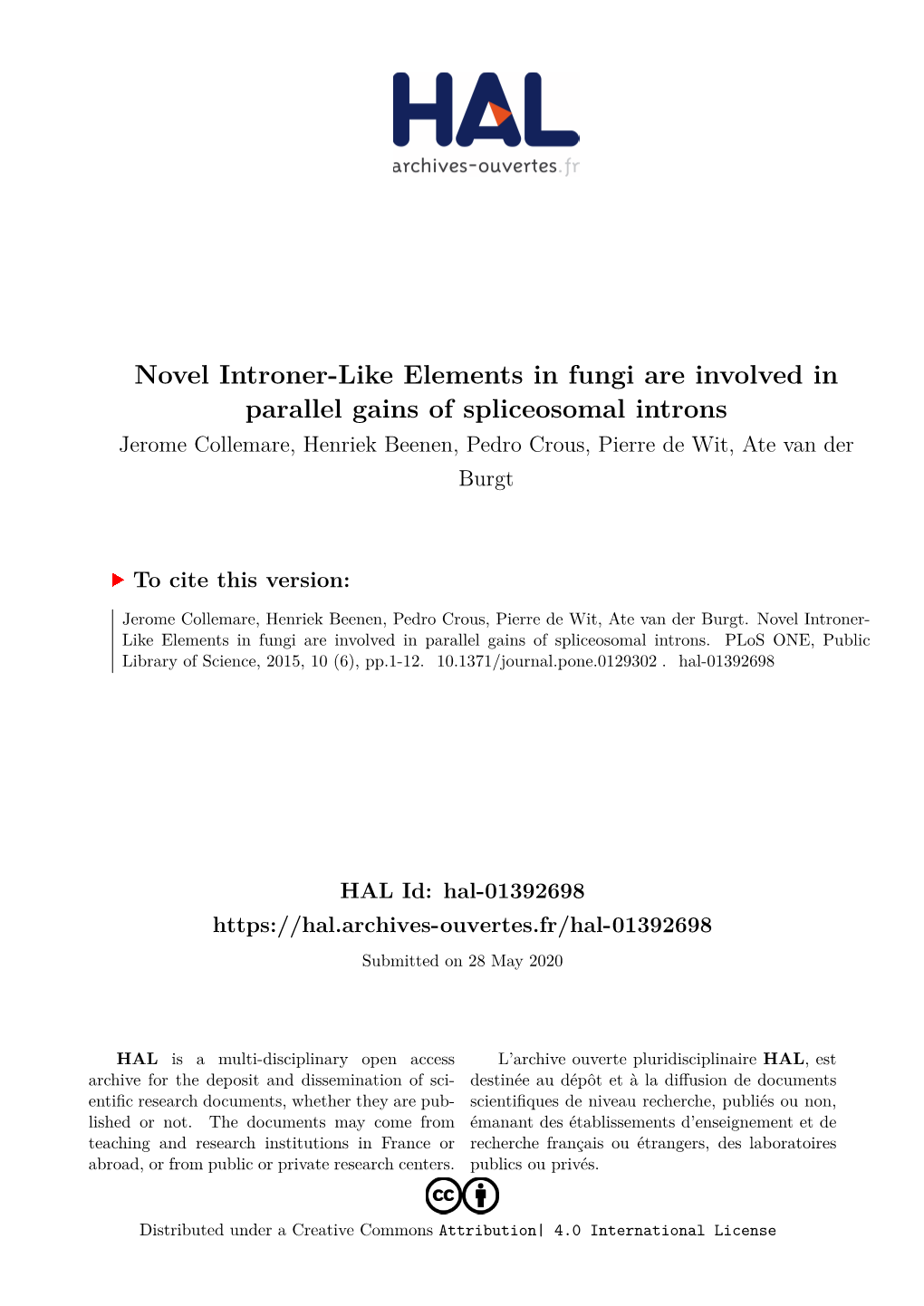 Novel Introner-Like Elements in Fungi Are Involved in Parallel Gains Of