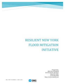 Resilient New York Flood Mitigation Initiative