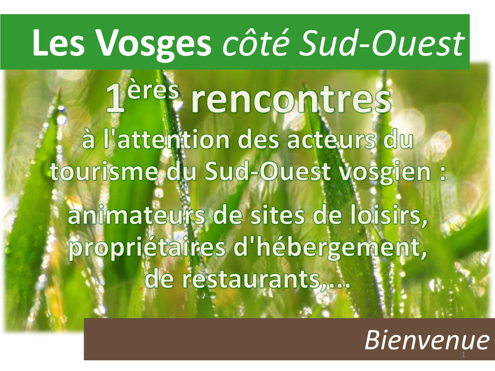 Les Vosges Côté Sud-Ouest