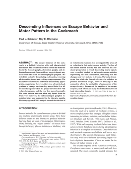 Descending Influences on Escape Behavior and Motor Pattern In