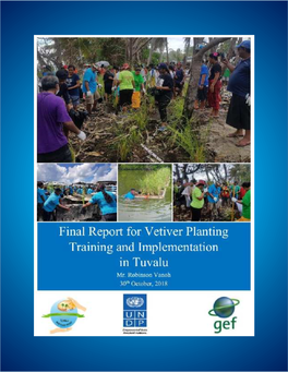 Final Report on Vetiver Training and Implementation