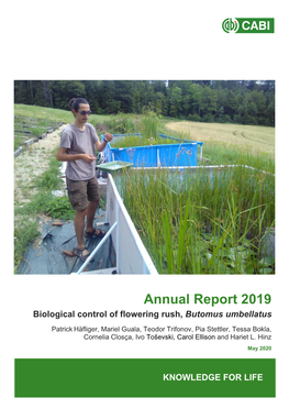 Annual Report 2019 Biological Control of Flowering Rush, Butomus Umbellatus