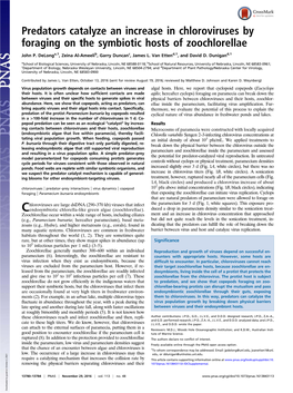 Predators Catalyze an Increase in Chloroviruses by Foraging on the Symbiotic Hosts of Zoochlorellae