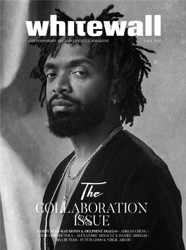 Collaboration Issue