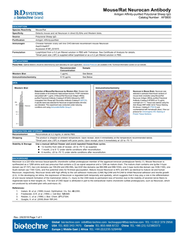 Mouse/Rat Neurocan Antibody Antigen Affinity-Purified Polyclonal Sheep Igg Catalog Number: AF5800