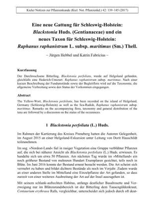 Blackstonia Huds. (Gentianaceae) Und Ein Neues Taxon Für Schleswig-Holstein: Raphanus Raphanistrum L