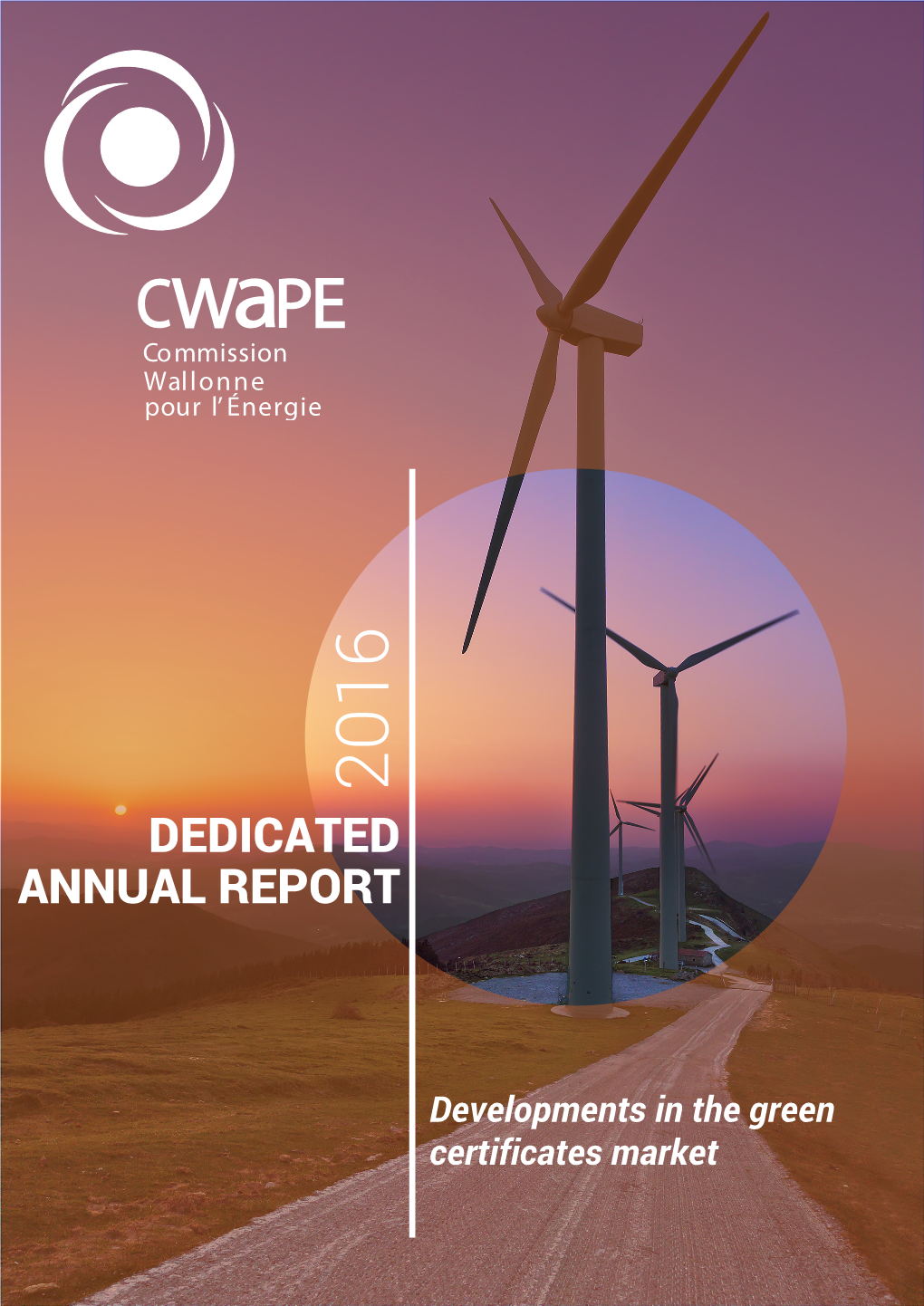 Dedicated Annual Report for 2016 Is Defined in Article 29 of the Order of 30 November 2006 on the Promotion of Electricity Generated from Renewable Energy Sources