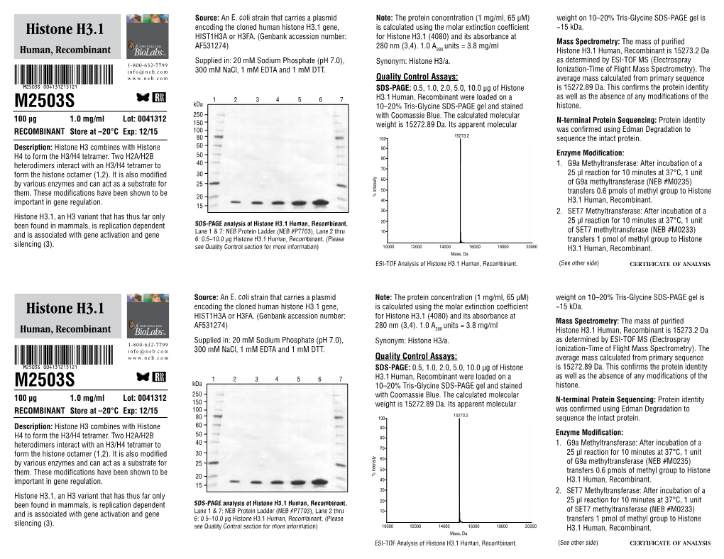 Datasheet for Histone H3.1 Human, Recombinant (M2503; Lot 0041312)