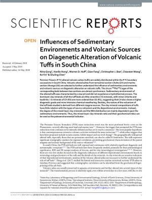 Influences of Sedimentary Environments and Volcanic