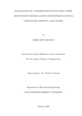 Reanimation of a Denervated Muscle Using Upper