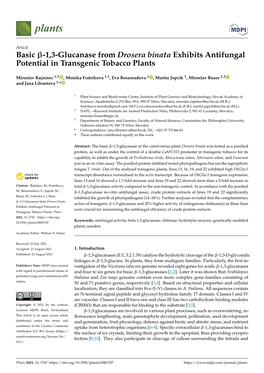 1,3-Glucanase from Drosera Binata Exhibits Antifungal Potential in Transgenic Tobacco Plants