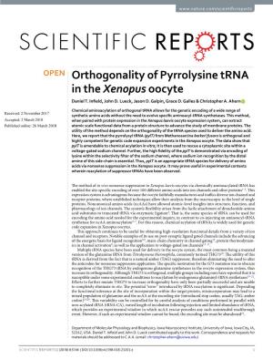 Orthogonality of Pyrrolysine Trna in the Xenopus Oocyte Daniel T