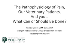 The Pathophysiology of Pain, Our Veterinary Patients, and You… What Can Or Should Be Done?