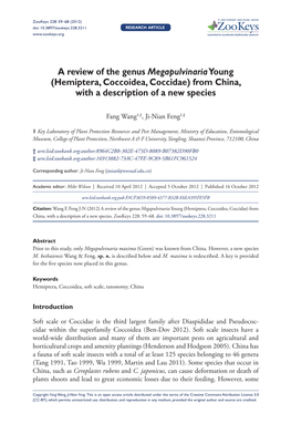 A Review of the Genus Megapulvinaria Young (Hemiptera, Coccoidea, Coccidae) from China, with a Description of a New Species
