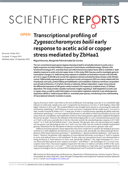 Transcriptional Profiling of Zygosaccharomyces Bailii Early