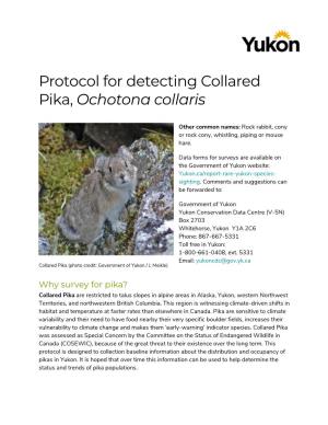 Protocol for Detecting Collared Pika, Ochotona Collaris