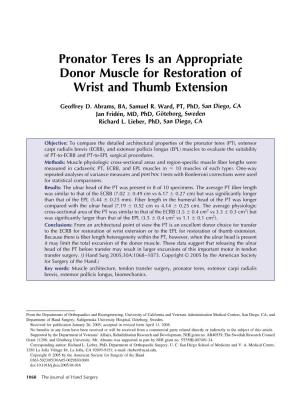 Pronator Teres Is an Appropriate Donor Muscle for Restoration of Wrist and Thumb Extension