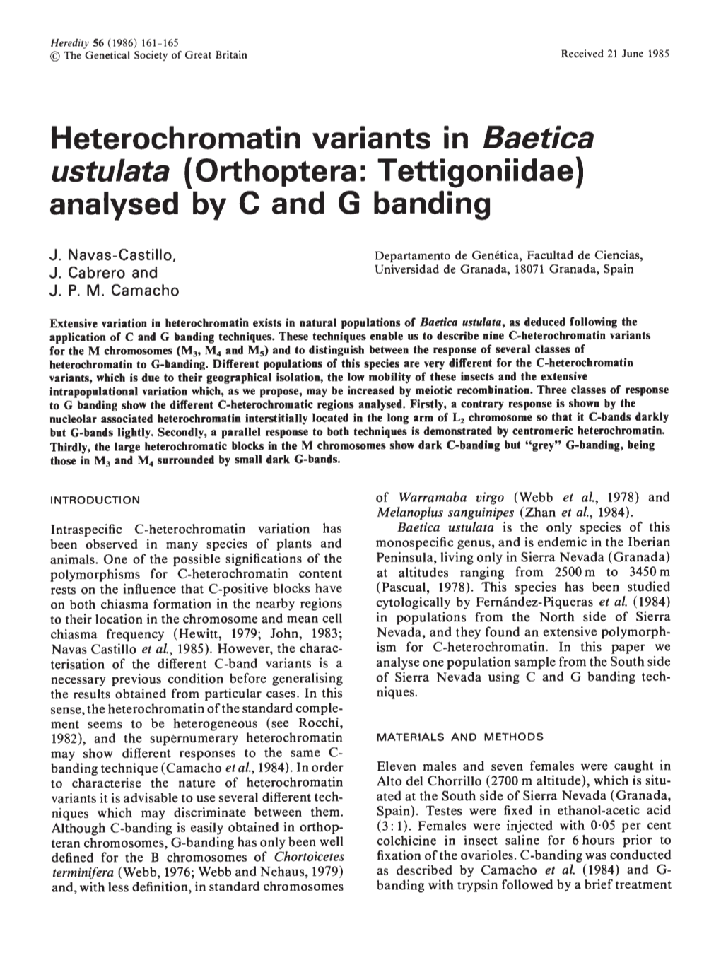 Ustulata (Orthoptera: Tettigoniidae) Analysed by C and G Banding