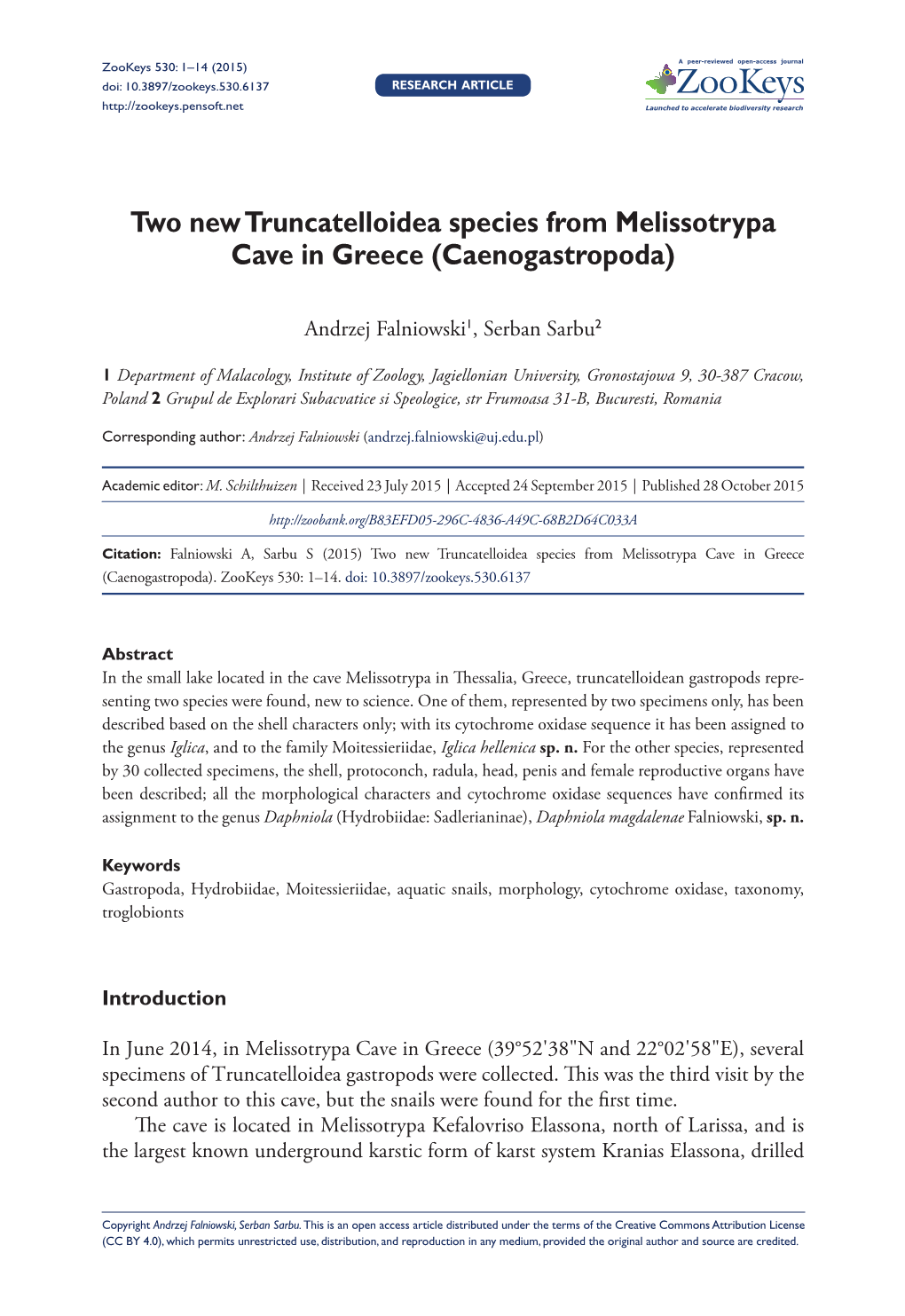 Two New Truncatelloidea Species from Melissotrypa Cave in Greece (Caenogastropoda)