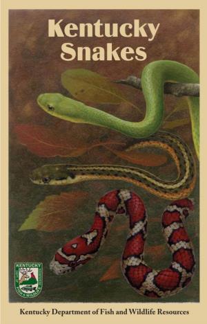 Kentucky Snakes