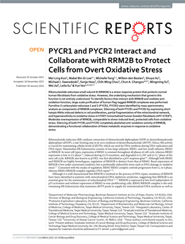PYCR1 and PYCR2 Interact and Collaborate with RRM2B to Protect
