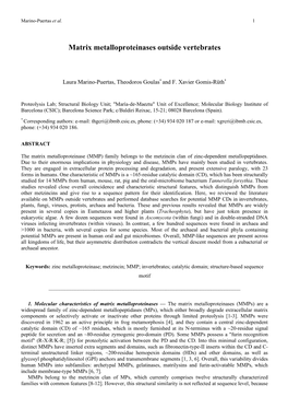 Matrix Metalloproteinases Outside Vertebrates